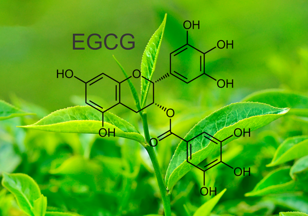 6 LỢI ÍCH CỦA TRÀ XANH ĐỐI VỚI LÀN DA