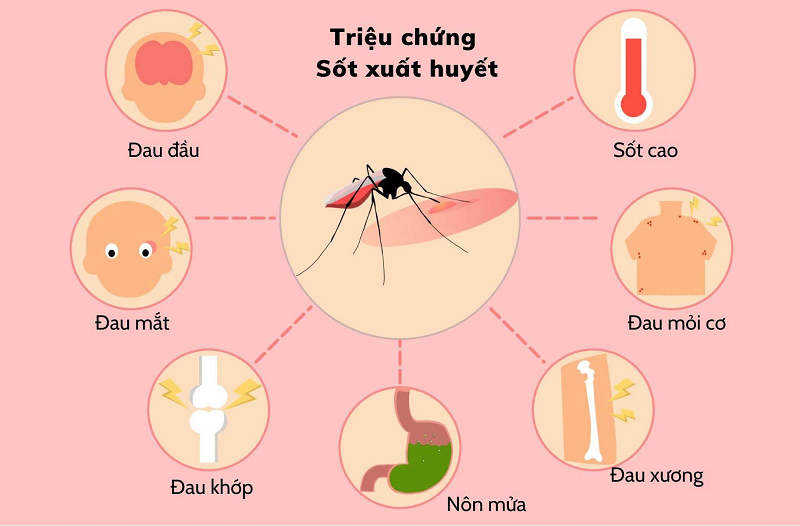Biến đổi khí hậu làm gia tăng các bệnh do muỗi truyền