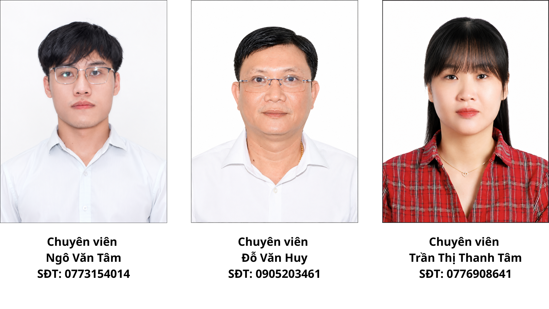 Chuyên viên đăng website