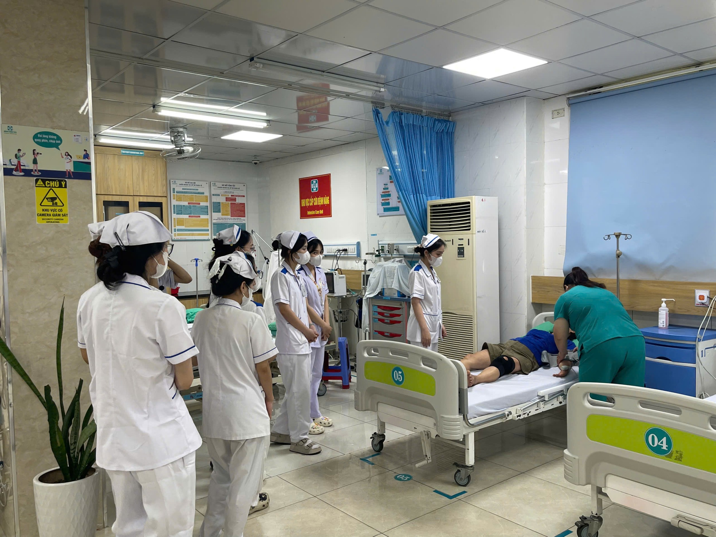 gen h ảnh bv 6